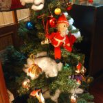 我が家のクリスマスツリー。