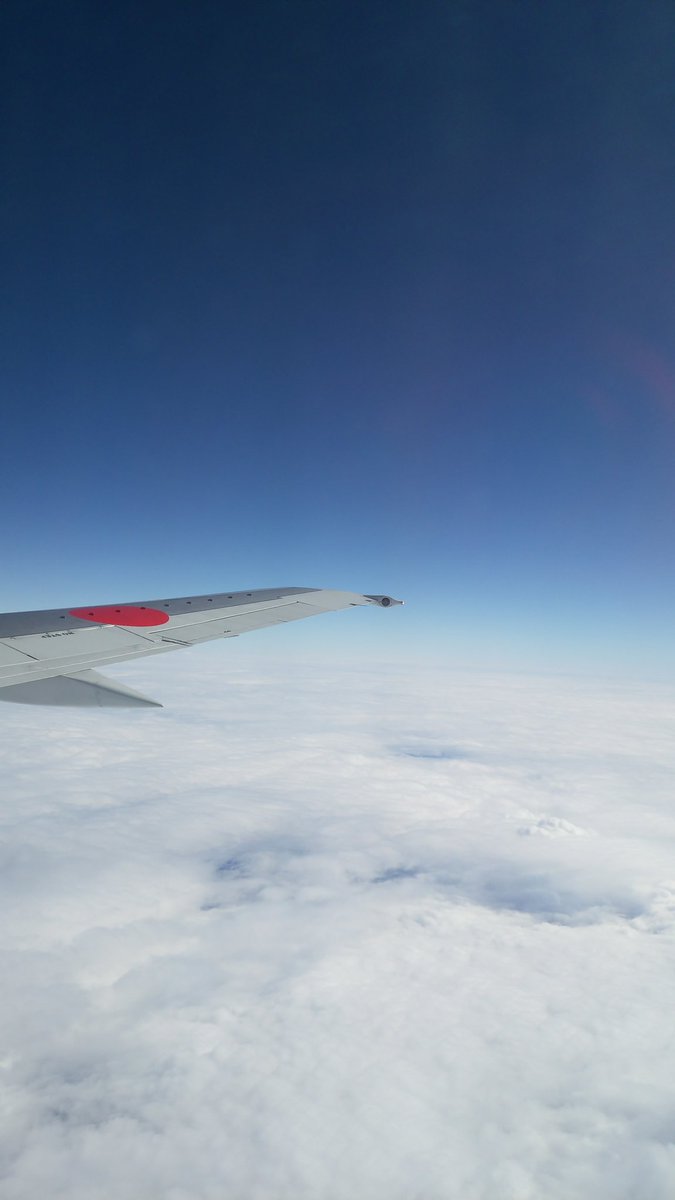 那覇空港から福岡空港へ向かうJTA機上からの雲海。長男坊が撮ってくれました。