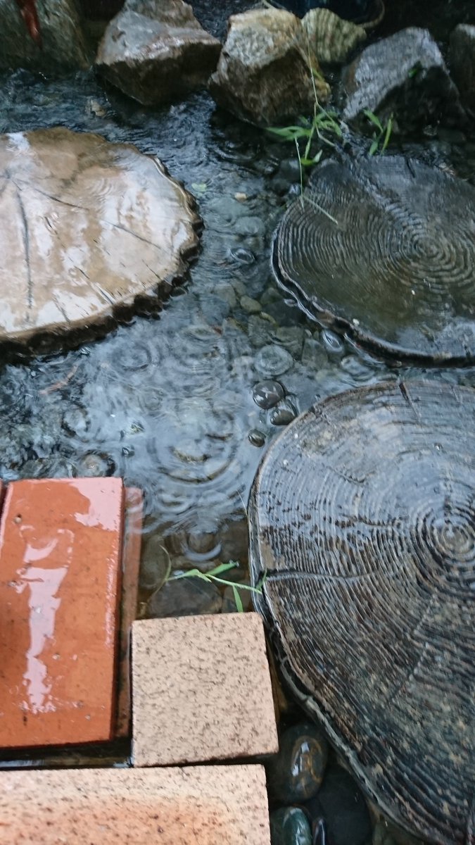 大雨でプールになった自宅のベランダ