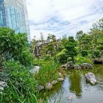 大浜第一病院　かりゆしの庭