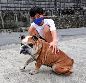 次男坊と三男坊ブルドッグの空